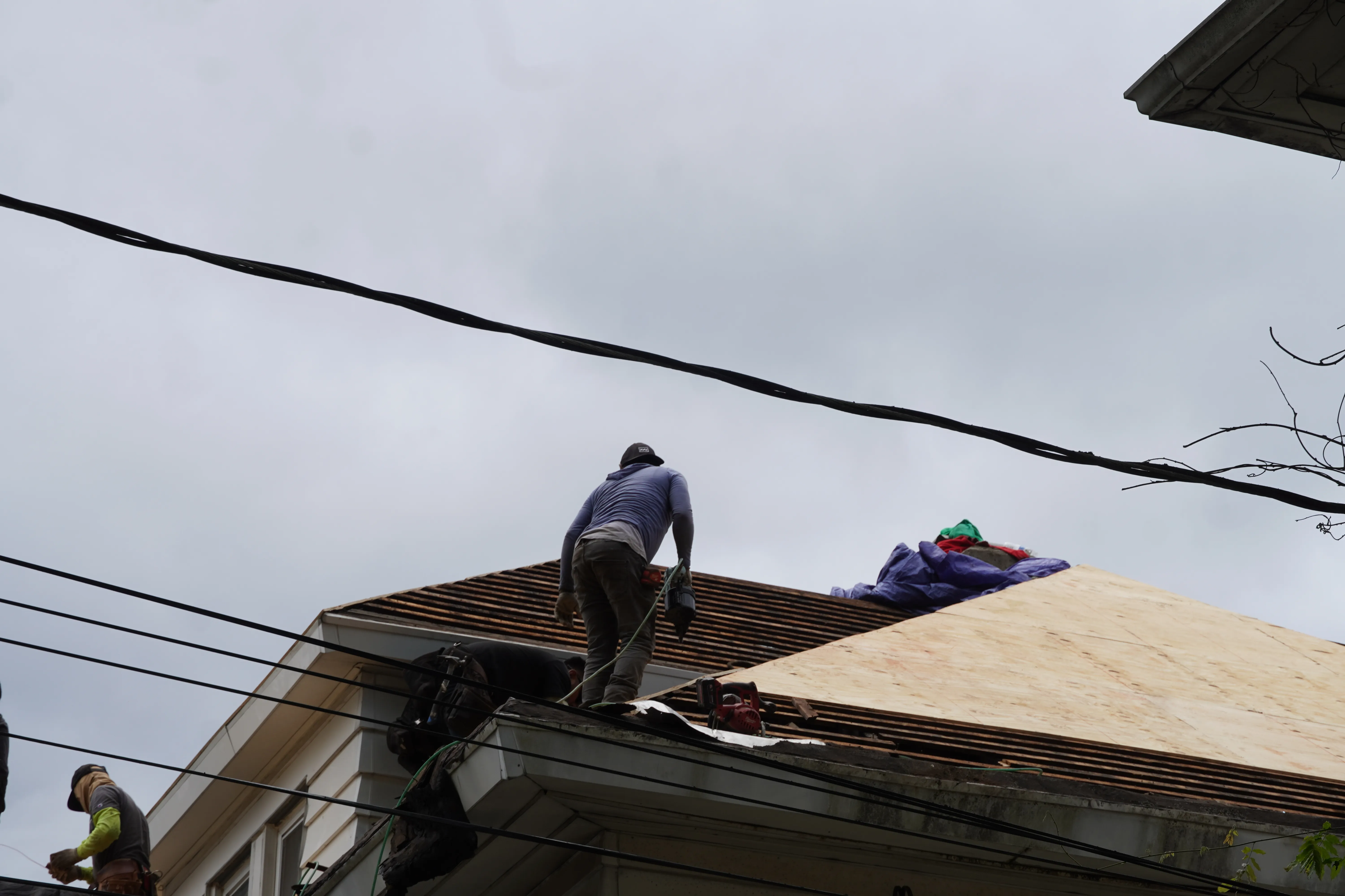 Roof Repairs and Maintenance